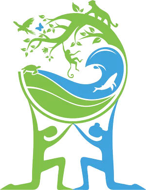 Global Sustainability Collective